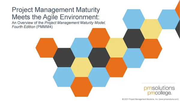 Project Management MaturityMeets the Agile Environment:
