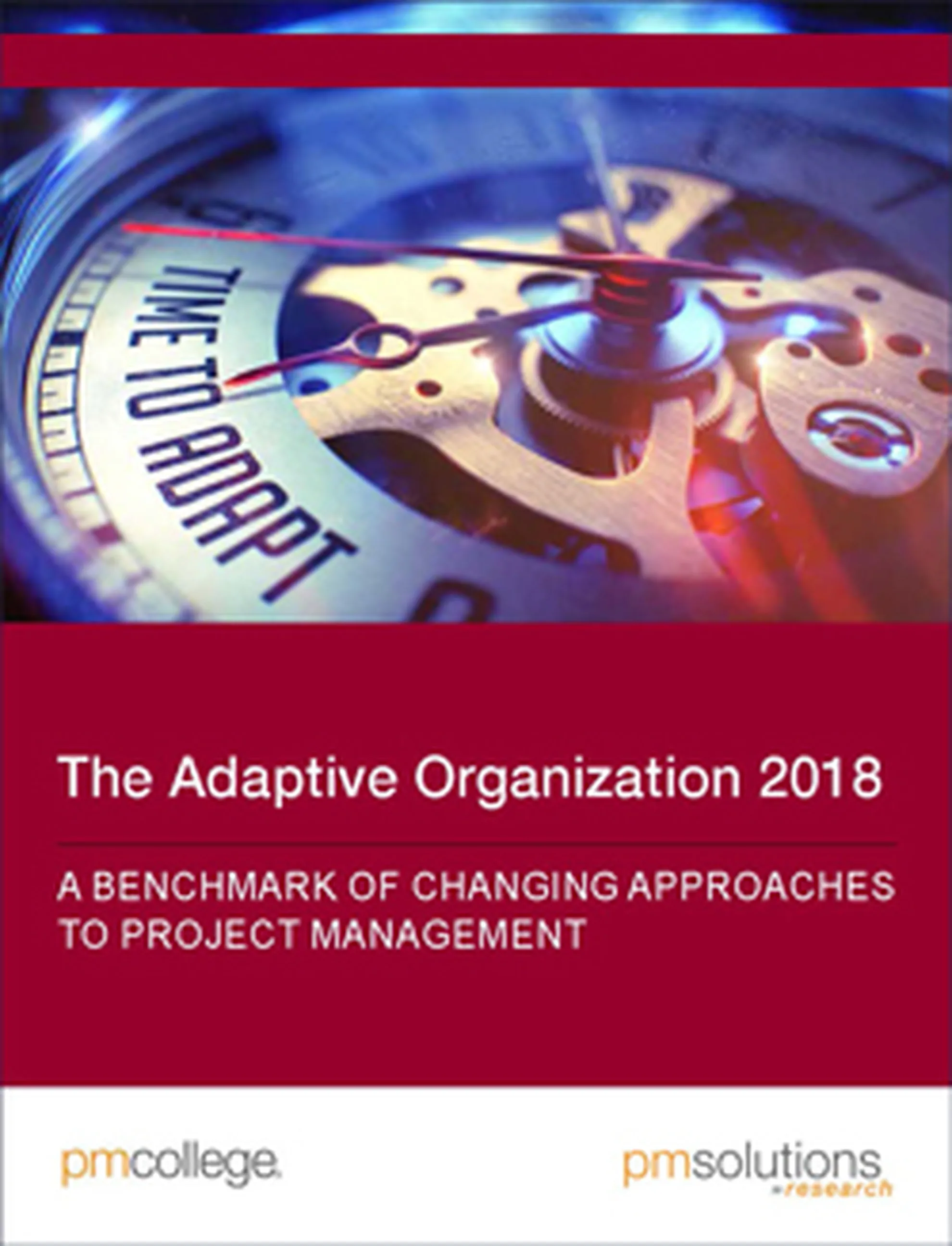 The Adaptive Organization Cover lo res
