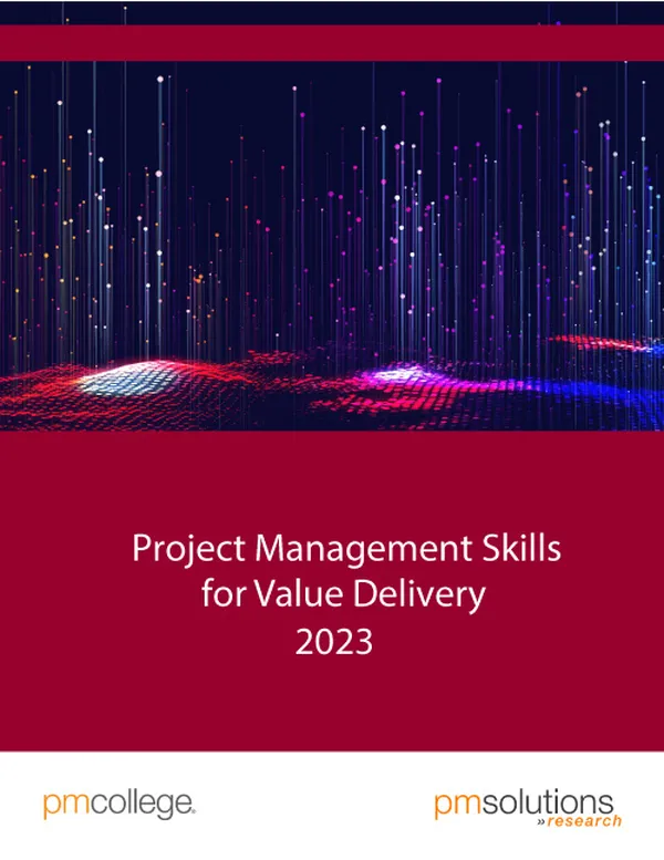 Project Management Skills for Value Delivery