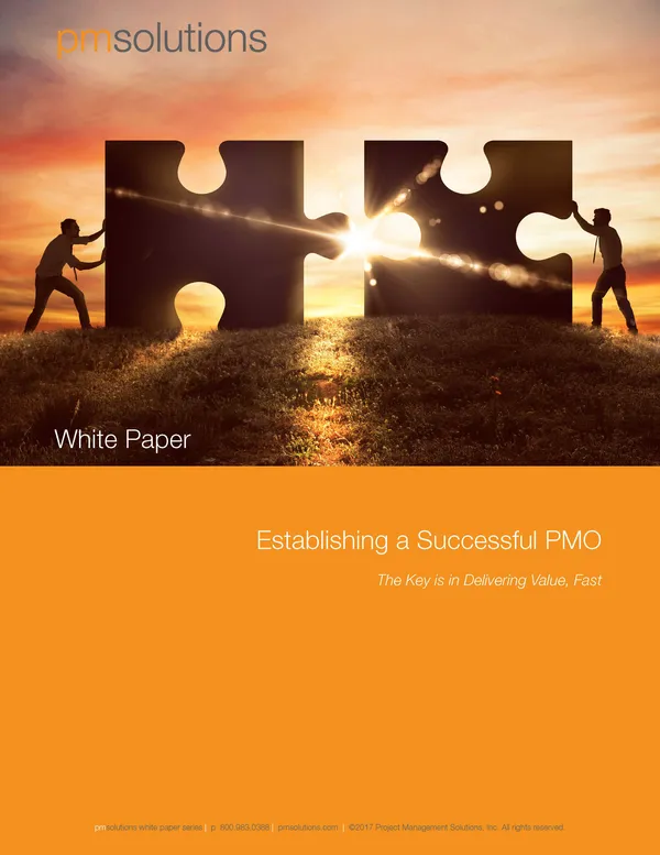 Establishing a Successful PMO