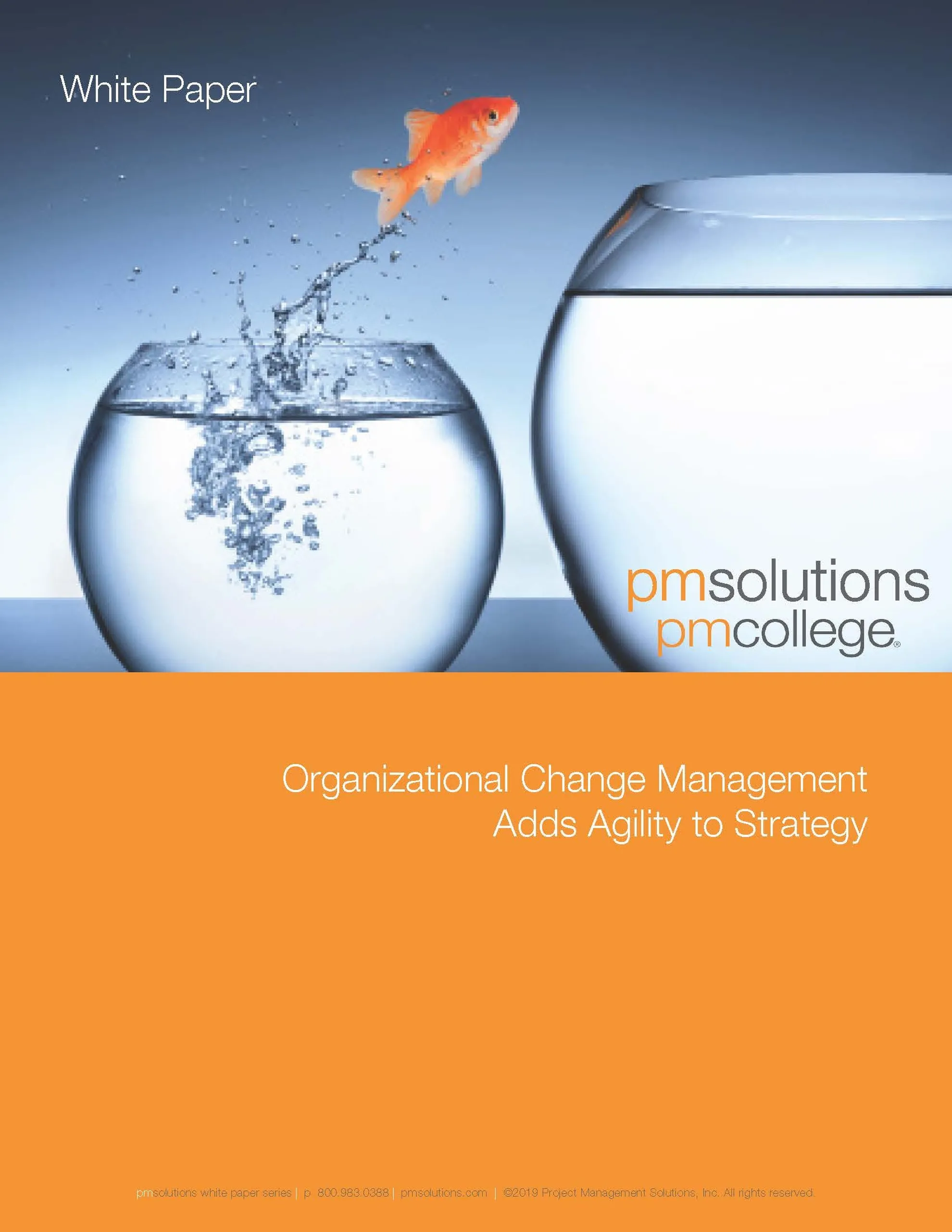 Organizational Change Management Adds Agility to Strategy Page 01