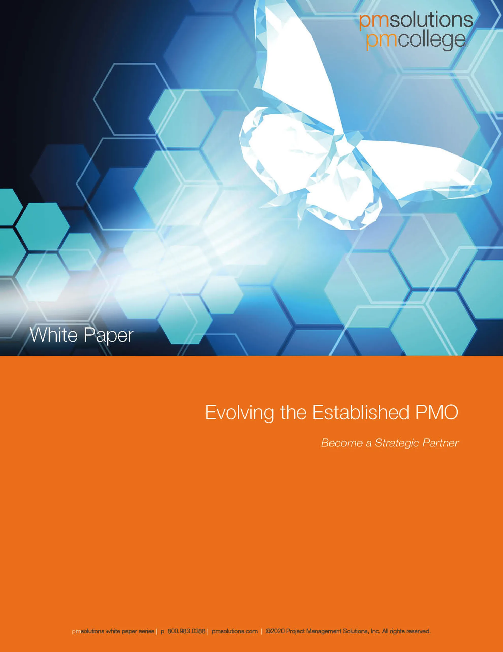 Evolving the Established PMO 2020