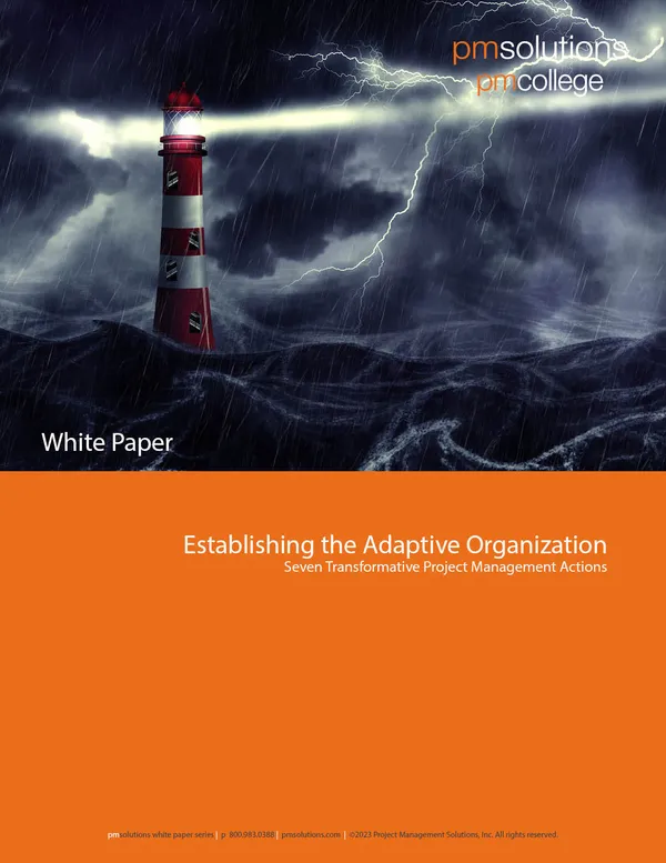 Establishing the Adaptive Organization