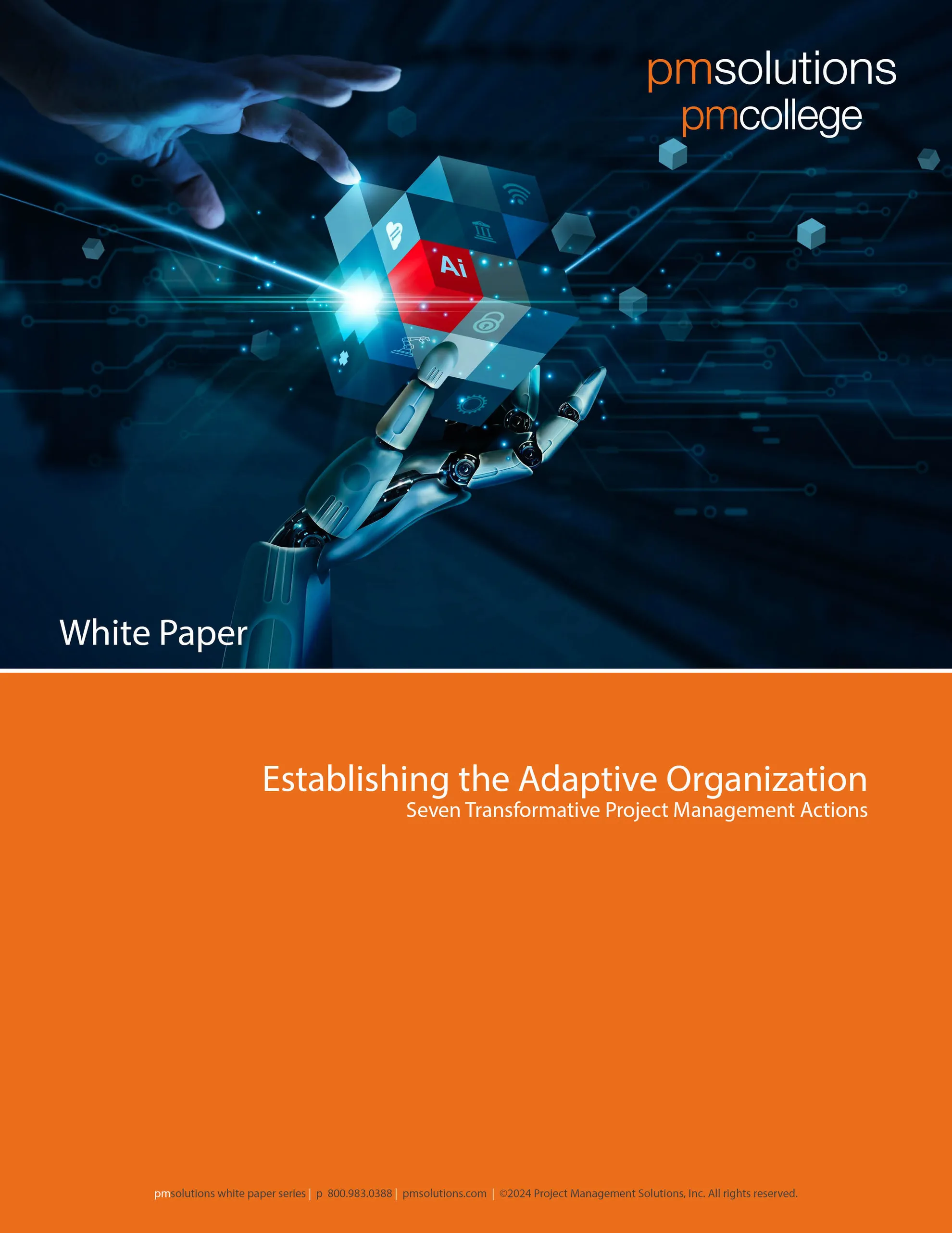 The Adaptive Organization 2024