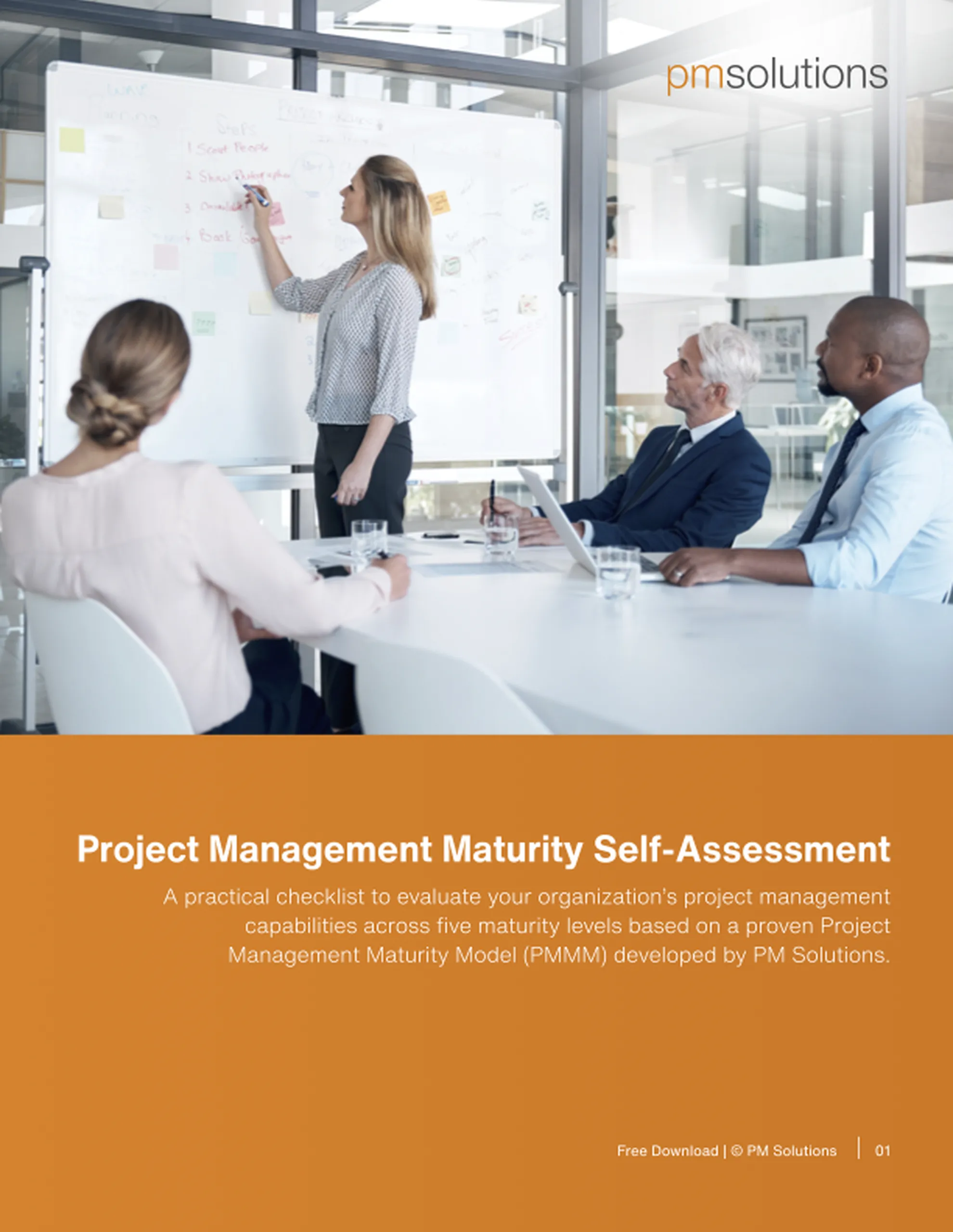 Project Management Maturity Self Assessment