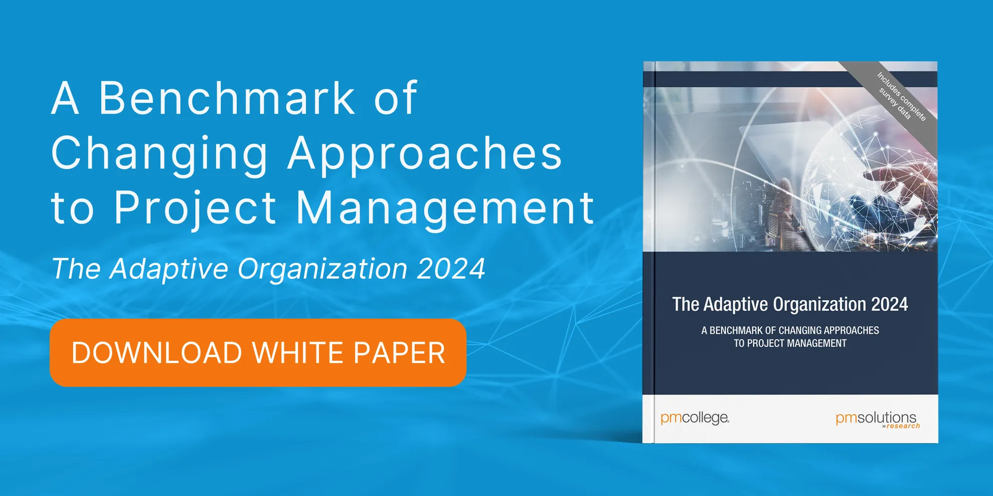 The Adaptive Organization 2024 Primary CTA