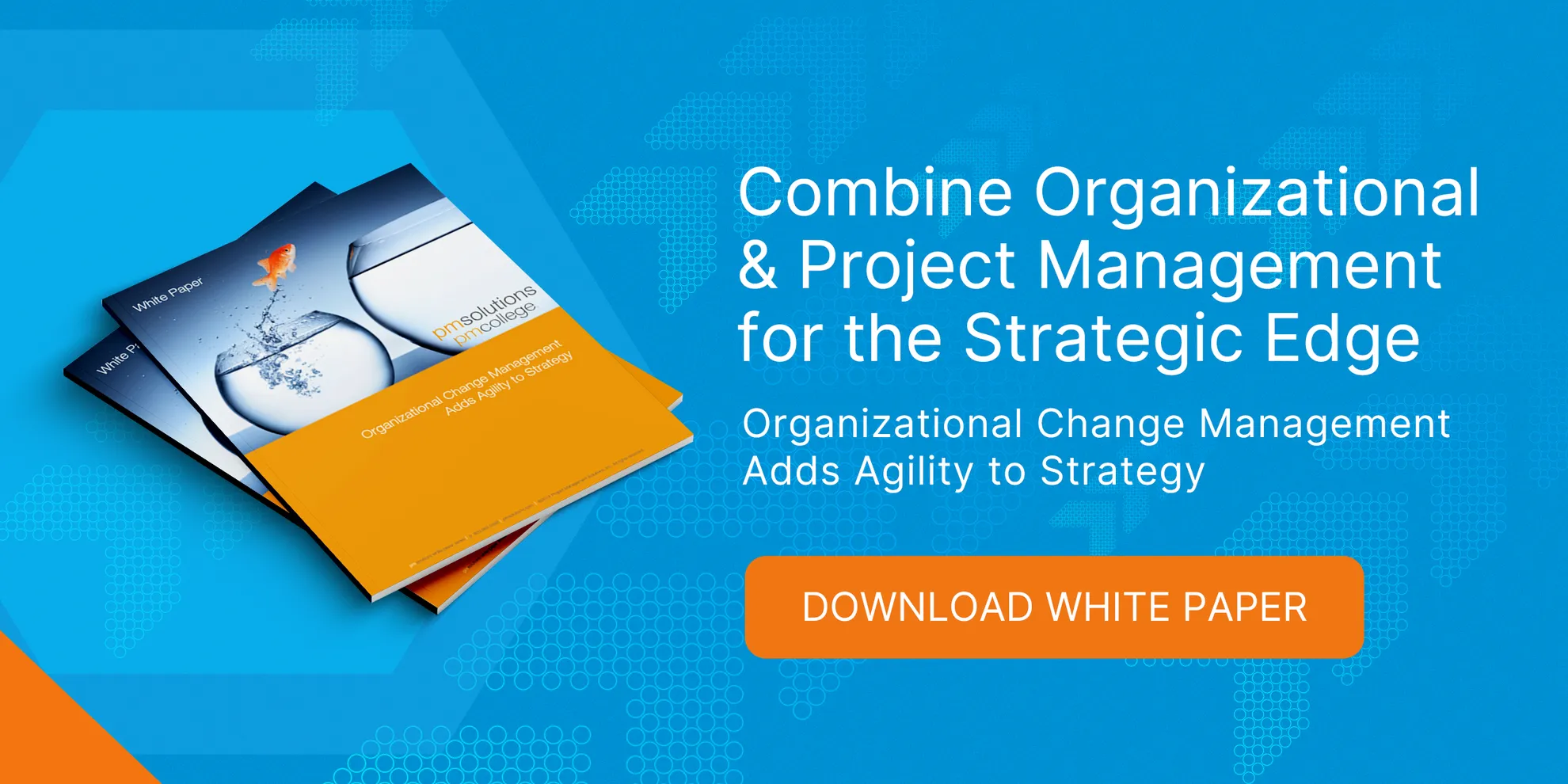 PMS Primary CTA Organizational Change Management