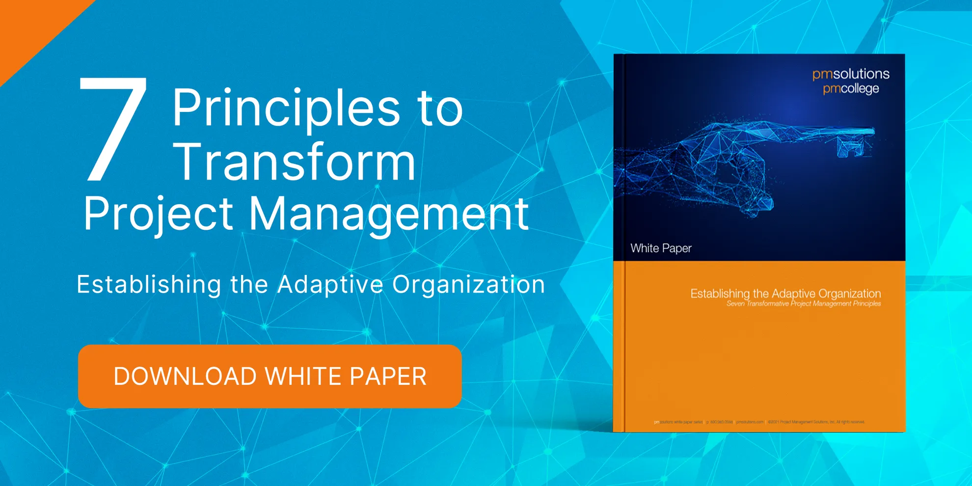 PMS Primary CTA Establishing the Adaptive Organization