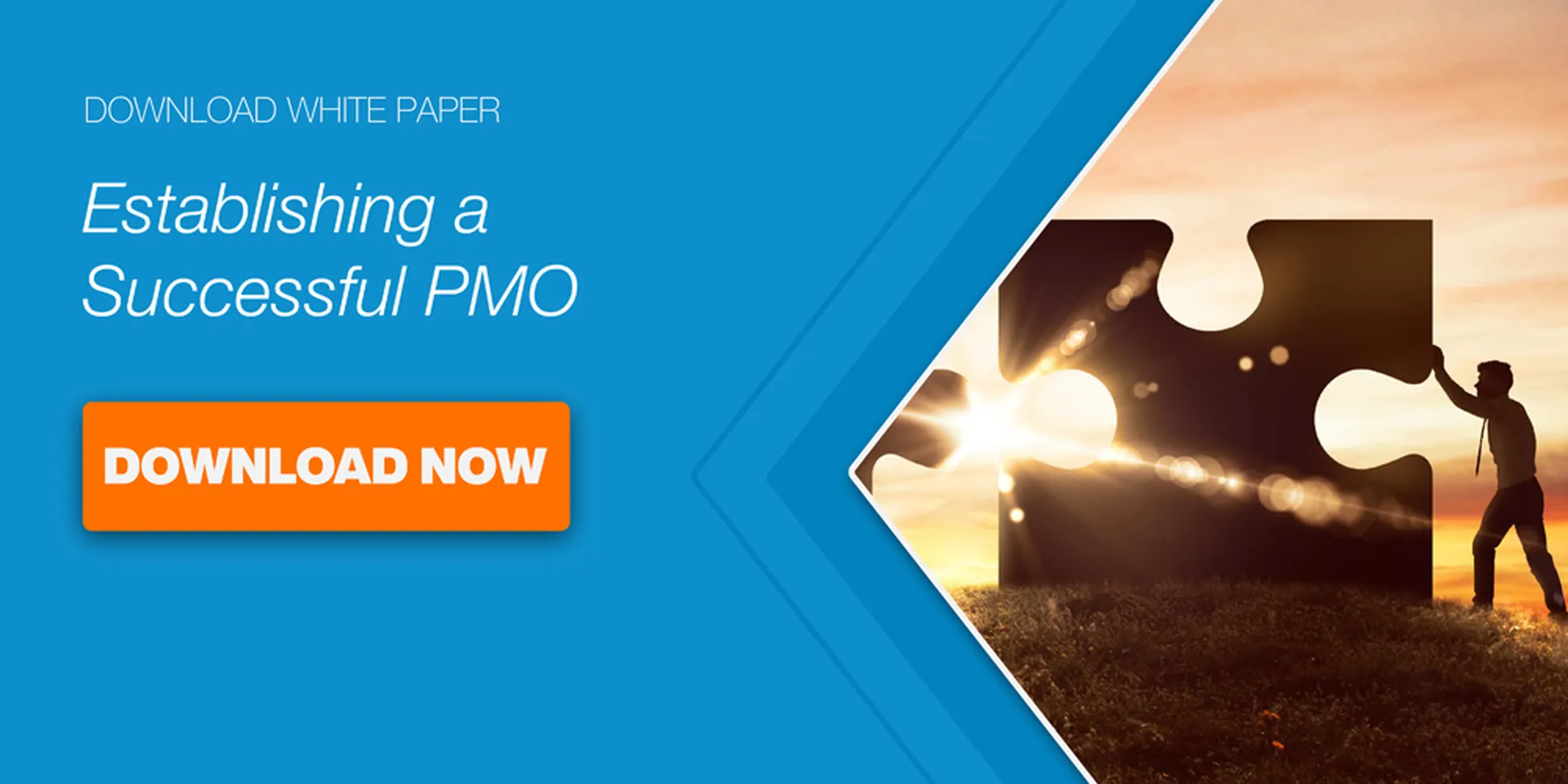 Establishing successful pmo cta