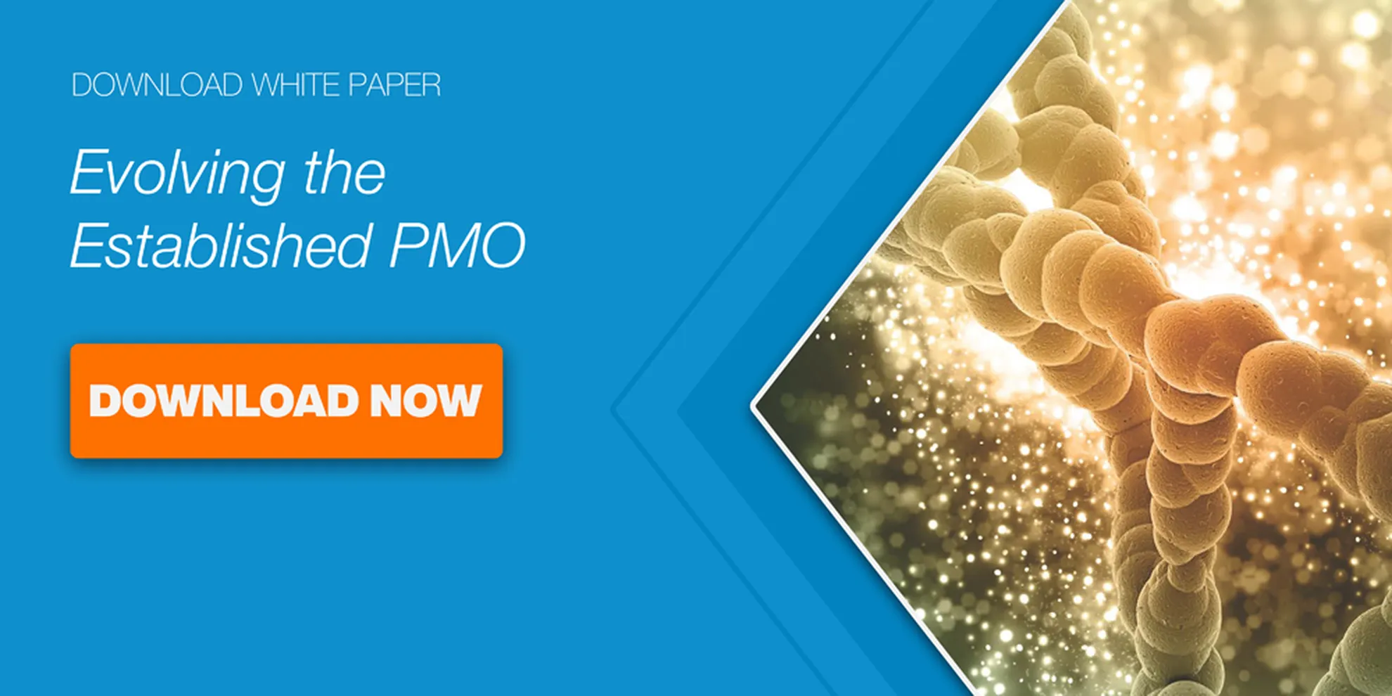 Evolving established pmo cta